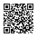 Универсальный адаптер питания для ноутбука Lenovo 0A36231