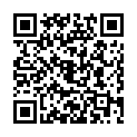 Универсальный адаптер питания для ноутбука Hama H-46588