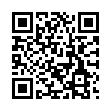 Гироскутер Carcam SmartBalance 10.5 Graffity