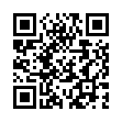 Мужские часы Q and Q Q862 J404