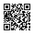 Мужские часы Q and Q DB08-304