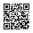 Мужские часы Q and Q DF02-305