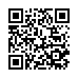 Мужские часы Q and Q DF06-305