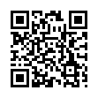 Настенные часы 21 Век 2424-60