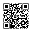 Стальной радиатор Лидея ЛК 11-305 300x500