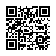 Стальной радиатор Лидея ЛК 20-306 300x600