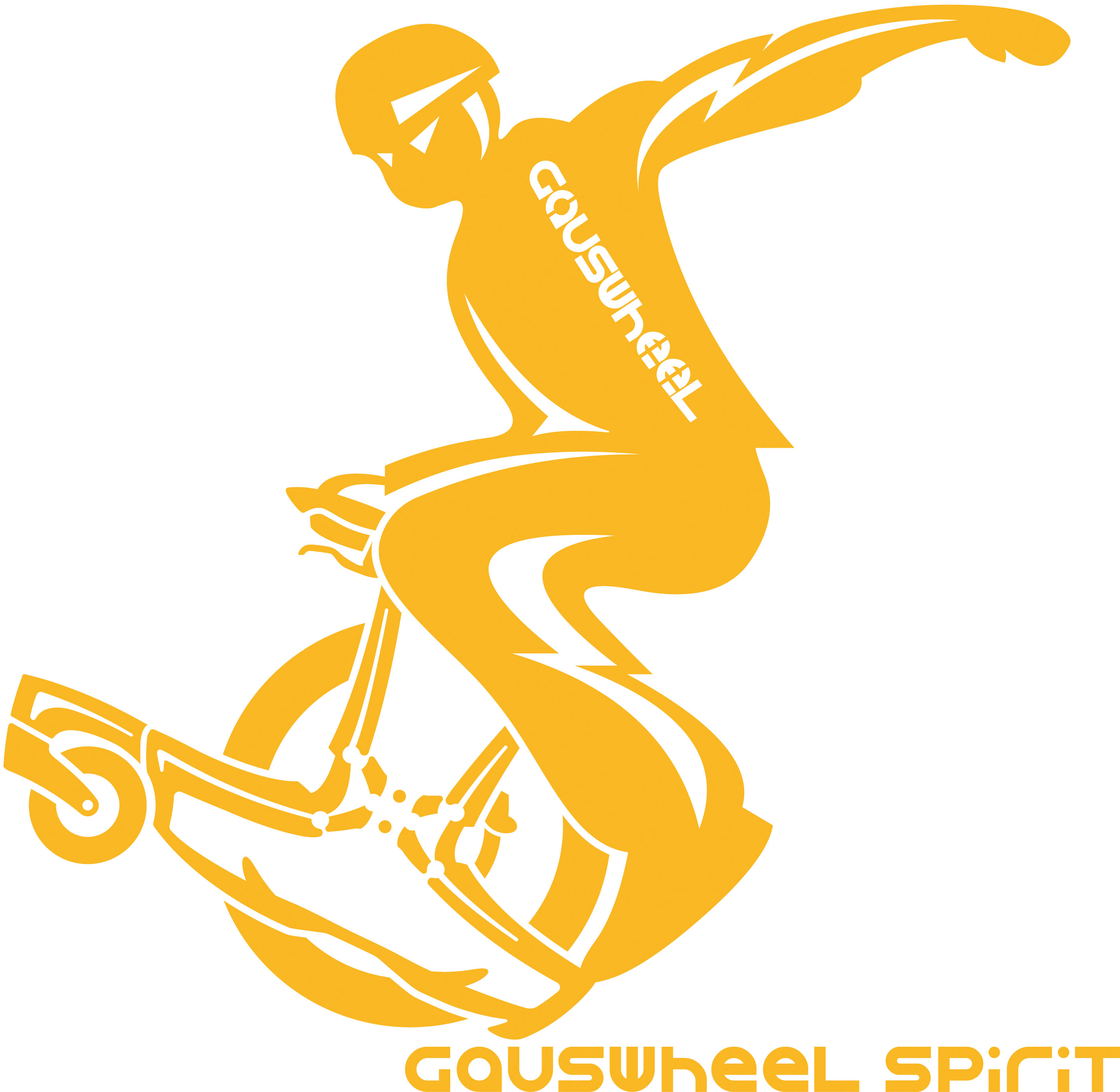 Gauswheel