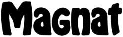 Magnat