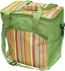 Автохолодильник Ecos ML27-32L