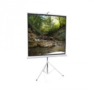 Рулонный экран для проектора ScreenMedia Apollo T 200x200 MW на штативе