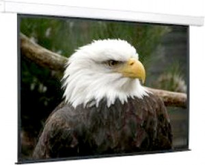 Рулонный экран для проектора ScreenMedia SCM-4307