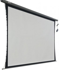 Рулонный экран для проектора Cactus  Professional Tension Motoscreen CS-PSPMT-149x265