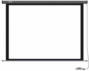 Рулонный экран для проектора Cactus  Professional Motoscreen CS-PSPM-168x299