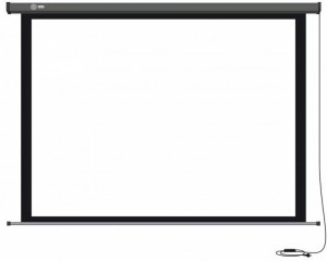 Рулонный экран для проектора Cactus  Professional Motoscreen CS-PSPM-183x244