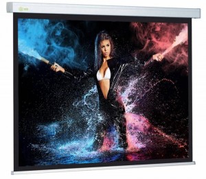 Рулонный экран для проектора Cactus  CS-PSW-168x299