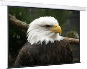 Рулонный экран для проектора ScreenMedia SCM-1106 244x244 Matte White