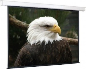 Рулонный экран для проектора ScreenMedia  Champion SCM-4303