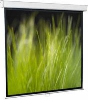 Рулонный экран для проектора ScreenMedia Goldview 115 244x183 MW 4:3