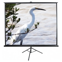 Рулонный экран для проектора Elite Screens T71UWS1 (1:1) 127х127 MW Black
