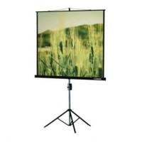 Рулонный экран для проектора Lumien EcoView 180x180 (LEV-100102) White