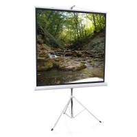 Рулонный экран для проектора Elite Screens T113NWS1 (113