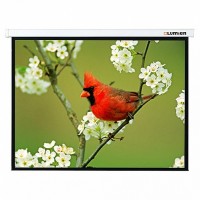 Рулонный экран для проектора Lumien Master Picture 406х305 MW
