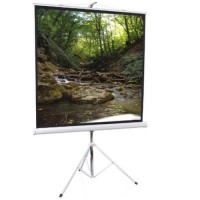 Экран для проектора ScreenMedia Apollo 203х203  на штативе
