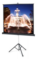 Рулонный экран для проектора Projecta ProView 178x178см MW