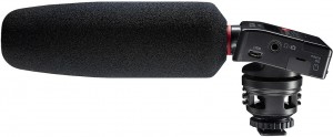 Диктофон Tascam DR-10SG
