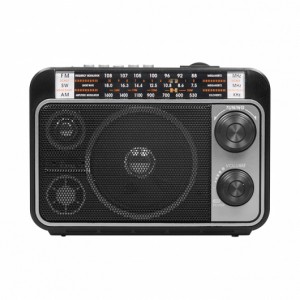 Переносной радиоприемник Ritmix RPR-171