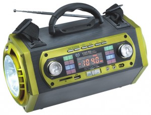 Переносной радиоприемник Сигнал electronics Vikend Energy