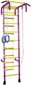 Детский спортивный комплекс Absolute Champion N4 Violet yellow