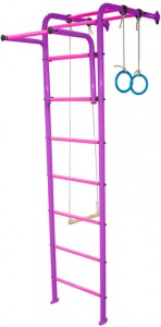 Детский спортивный комплекс Absolute Champion N1 Violet pink