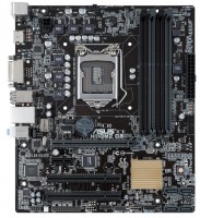 Материнская плата Asus H110M2 D3