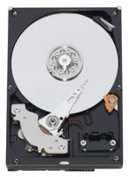 HDD Western Digital WD2500AAKX