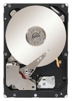HDD Seagate ST1000NM0033
