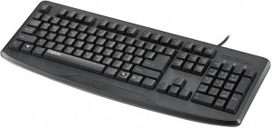 Клавиатура Rapoo NK2500 USB Black