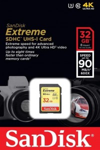 Карта памяти SanDisk SDHC 32Gb class 10 Extreme SDSDXNE-032G-GNCIN