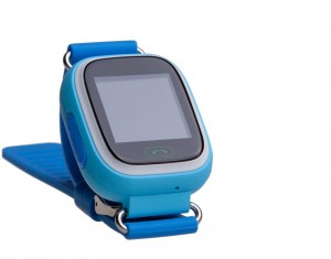 Умные часы Prolike PLSW90 Blue