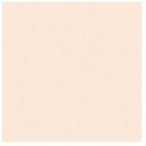 Фон Polaroid New Wheat Beige