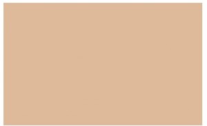 Фон Savage 25-12 Widetone Beige