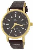Мужские часы Q and Q Q892 J102