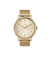 Мужские часы TIMEX T2N598