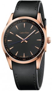 Мужские часы Calvin Klein K5A316.C1