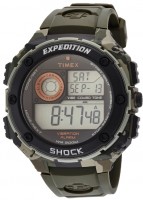 Мужские часы TIMEX T49981