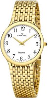 Мужские часы Candino C4363_1
