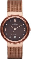 Женские часы Skagen SKW2068