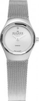 Женские часы Skagen 432SSSS