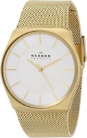 Мужские часы Skagen SKW6069