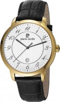 Мужские часы Pierre Cardin PC106311F04